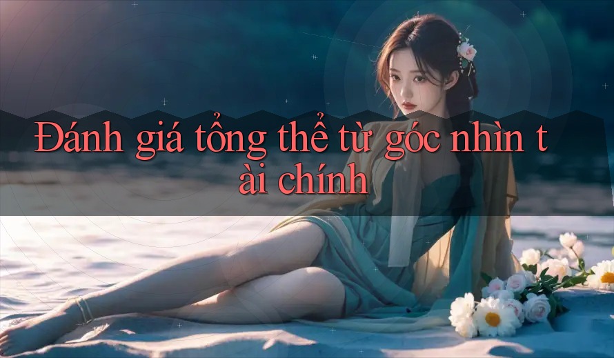 Đánh giá tổng thể từ góc nhìn tài chính