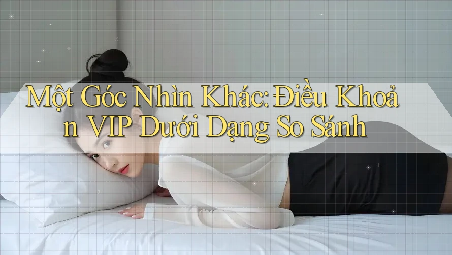Một Góc Nhìn Khác: Điều Khoản VIP Dưới Dạng So Sánh Một Góc Nhìn Khác: Điều Khoản VIP Dưới Dạng So Sánh