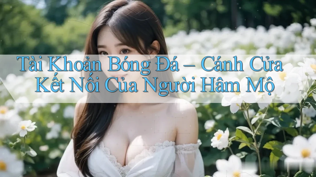 Tài Khoản Bóng Đá – Cánh Cửa Kết Nối Của Người Hâm Mộ